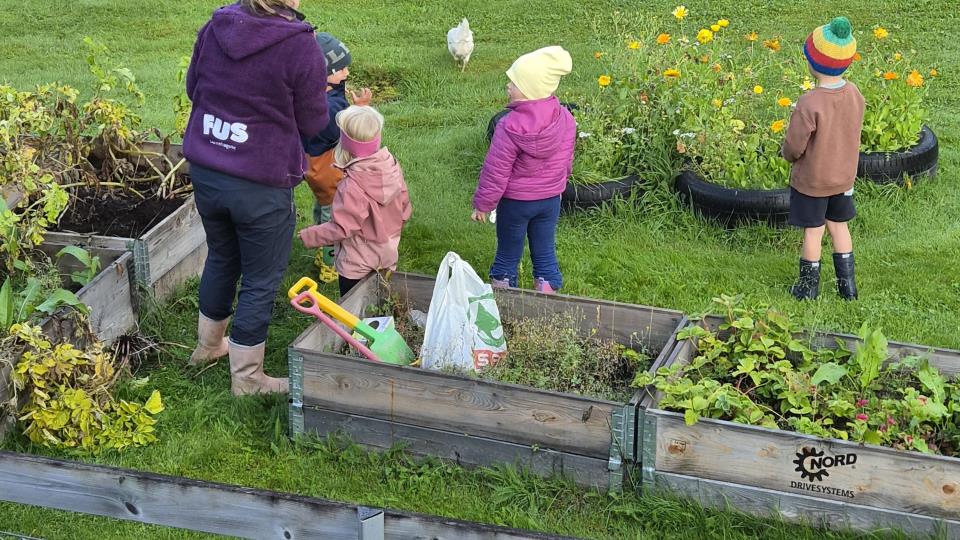Lenkje til artikkel: Potethausting i Syltebøen