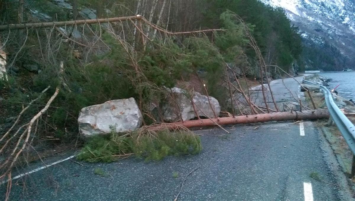 Stein og tre i vegbane - Klikk for stort bilete