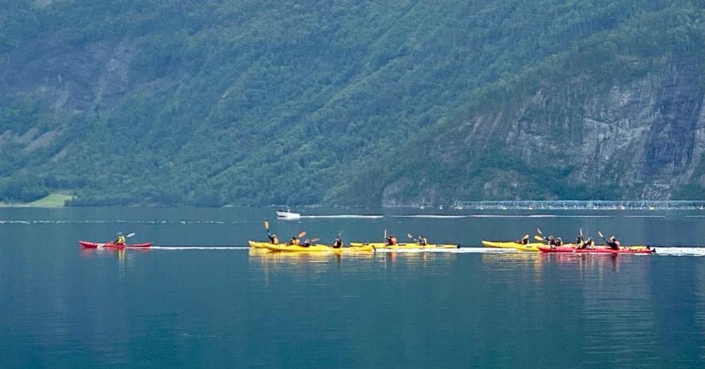 Fleire gule og raude kajakkar padlar på ein fjord. Fjell i bakgrunnen. - Klikk for stort bilete